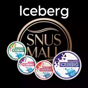 Iceberg Nicotine Pouches Dubai | Buy Now at Our Store with Good Price