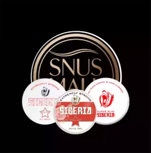 Siberia Nicotine Pouches Dubai