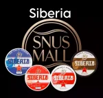 Siberia Nicotine Pouches in Dubai | Buy Now at Our Store with Good Price