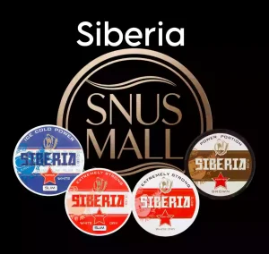 Siberia Nicotine Pouches in Dubai | Buy Now at Our Store with Good Price