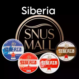 Siberia Nicotine Pouches in Dubai | Buy Now at Our Store with Good Price