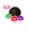Egp